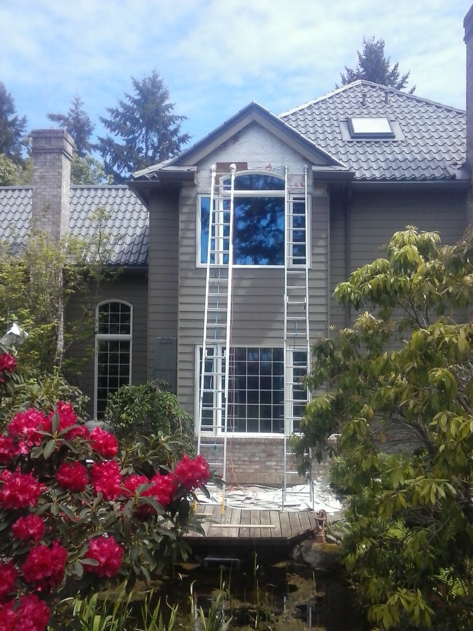 Residential Windows 1